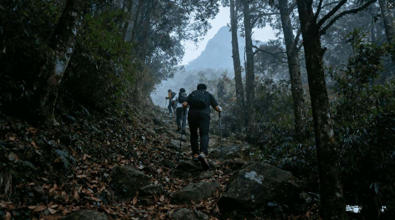 WordPress单栏主题Hoffman